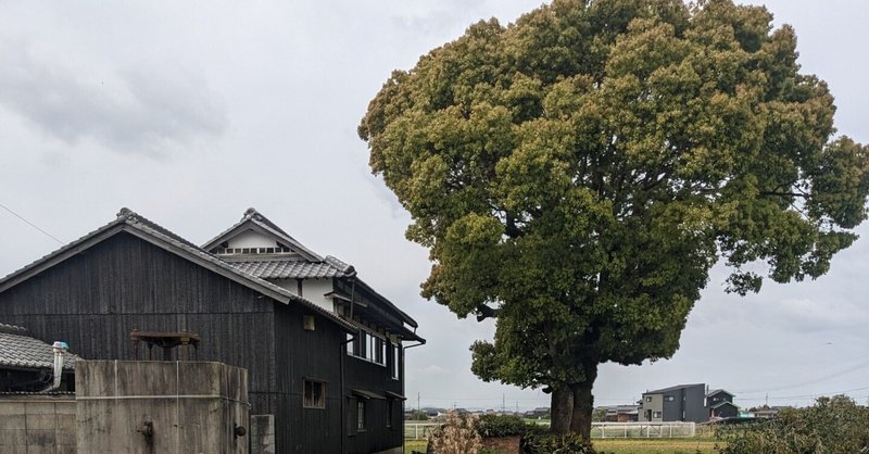 前段『はみだし小刀術』 一振