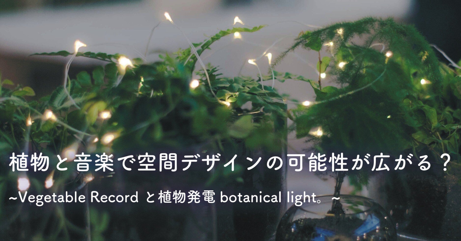 中古本】空間・反空間のなかの植物 空間・反空間のなかの植物