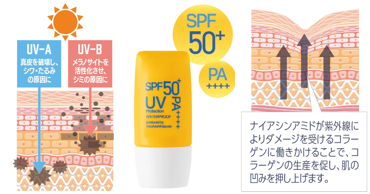  AAS プロテクトのリーフレット