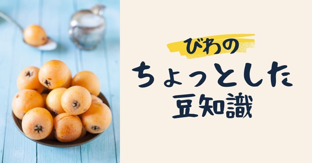ちょっとしたびわの豆知識】家でも育てられる？びわと琵琶の関係性は