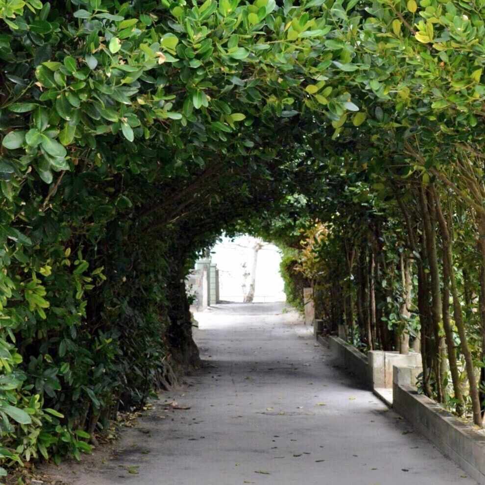 ロマンティックアセクシャルの渚