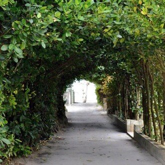 ロマンティックアセクシャルの渚