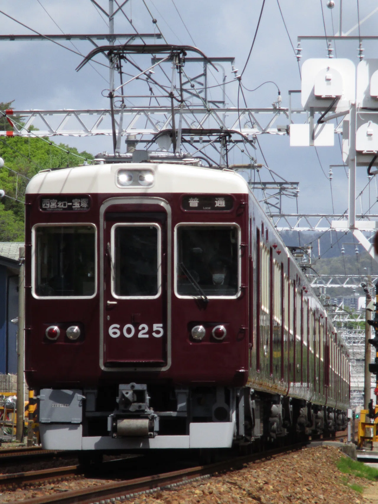 奇跡ではないかもしれない話｜かんてん