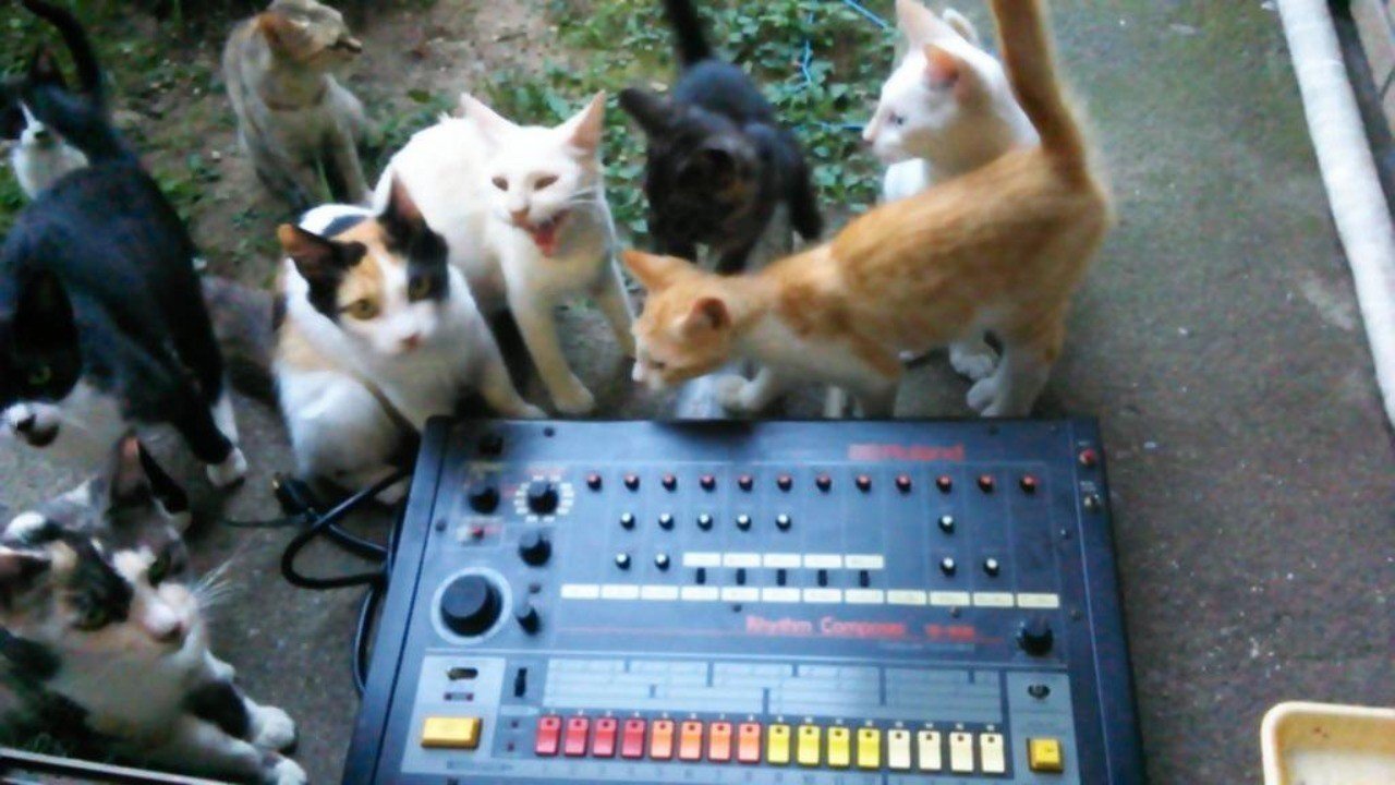 5d74193a69369d154c4fe4c4570c72