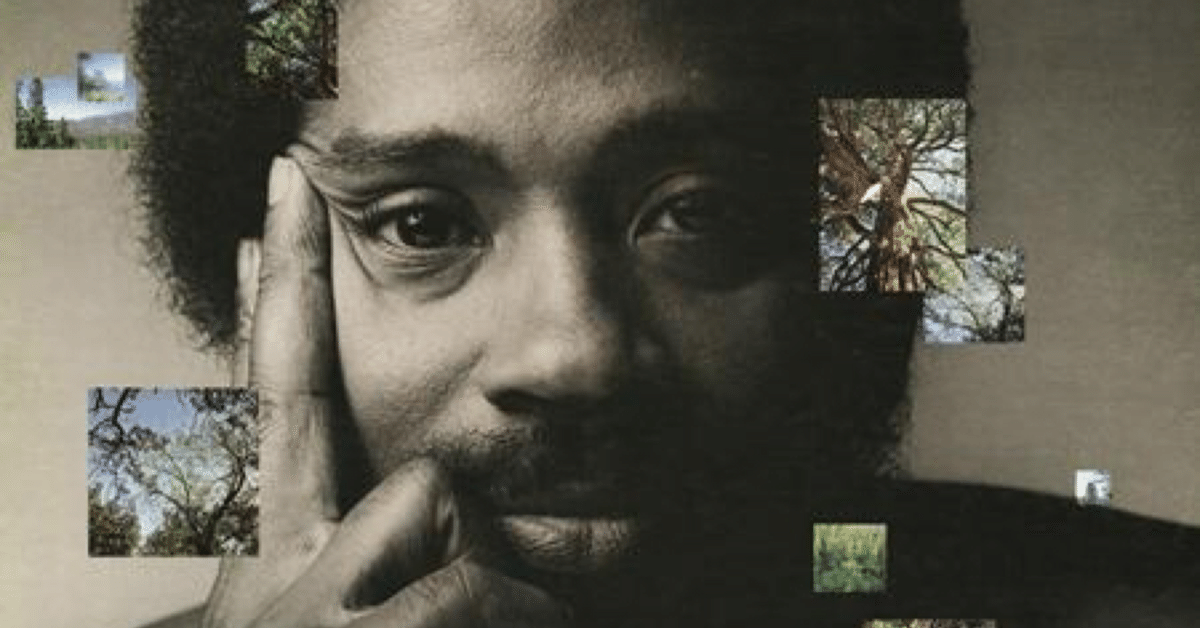 3-2151 ボビー・ハッチャーソン「リンガー・レイン」LP盤 Bobby Hutcherson - Linger Lane - Amazon.com Music