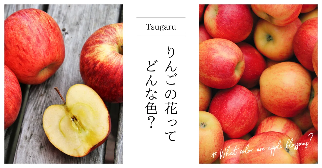りんごの花ってどんな色？｜ねこのめ 🍎 星野リゾート