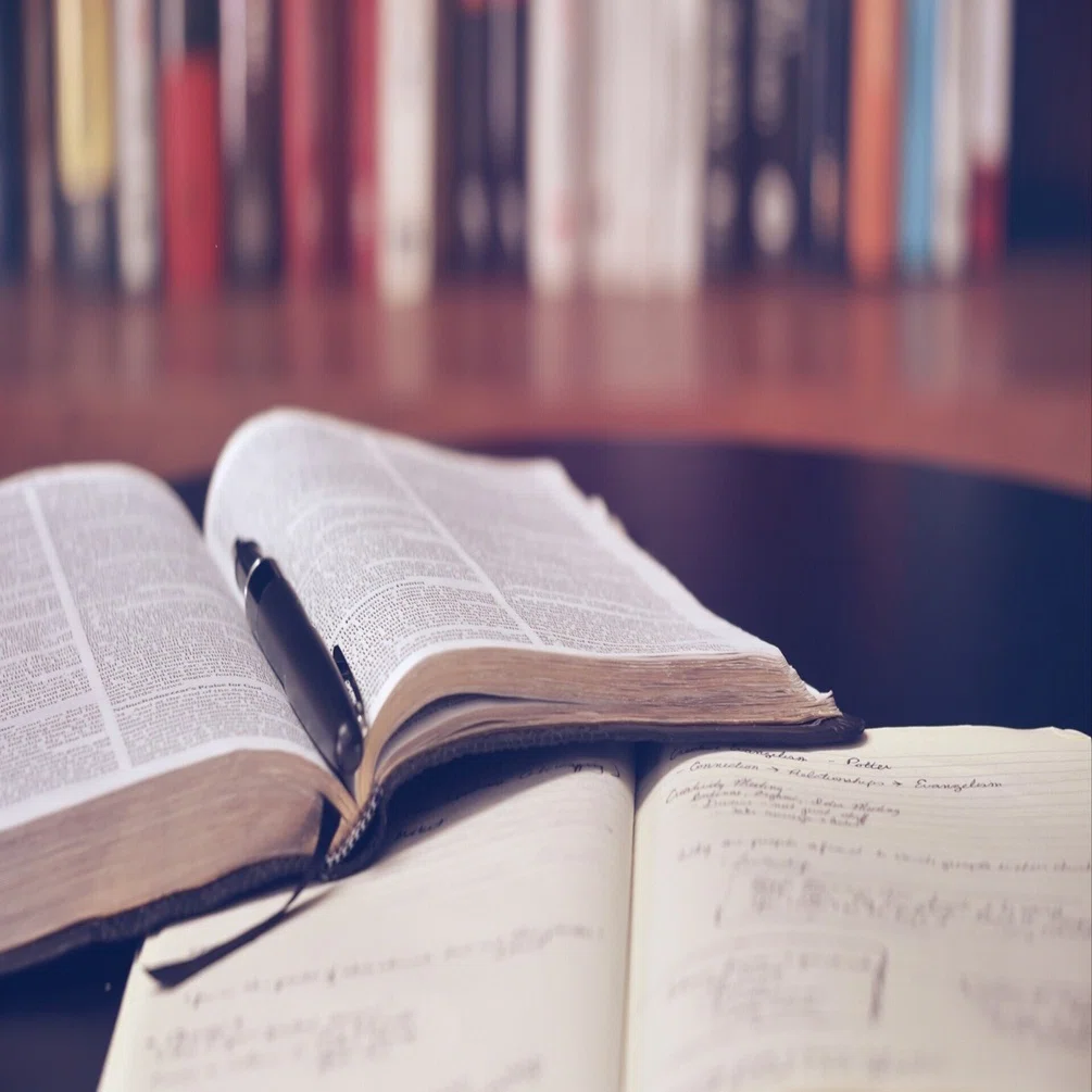 洋書で楽しく英語を学ぶ📚インテリア編 選書方法とおすすめ本3冊｜C
