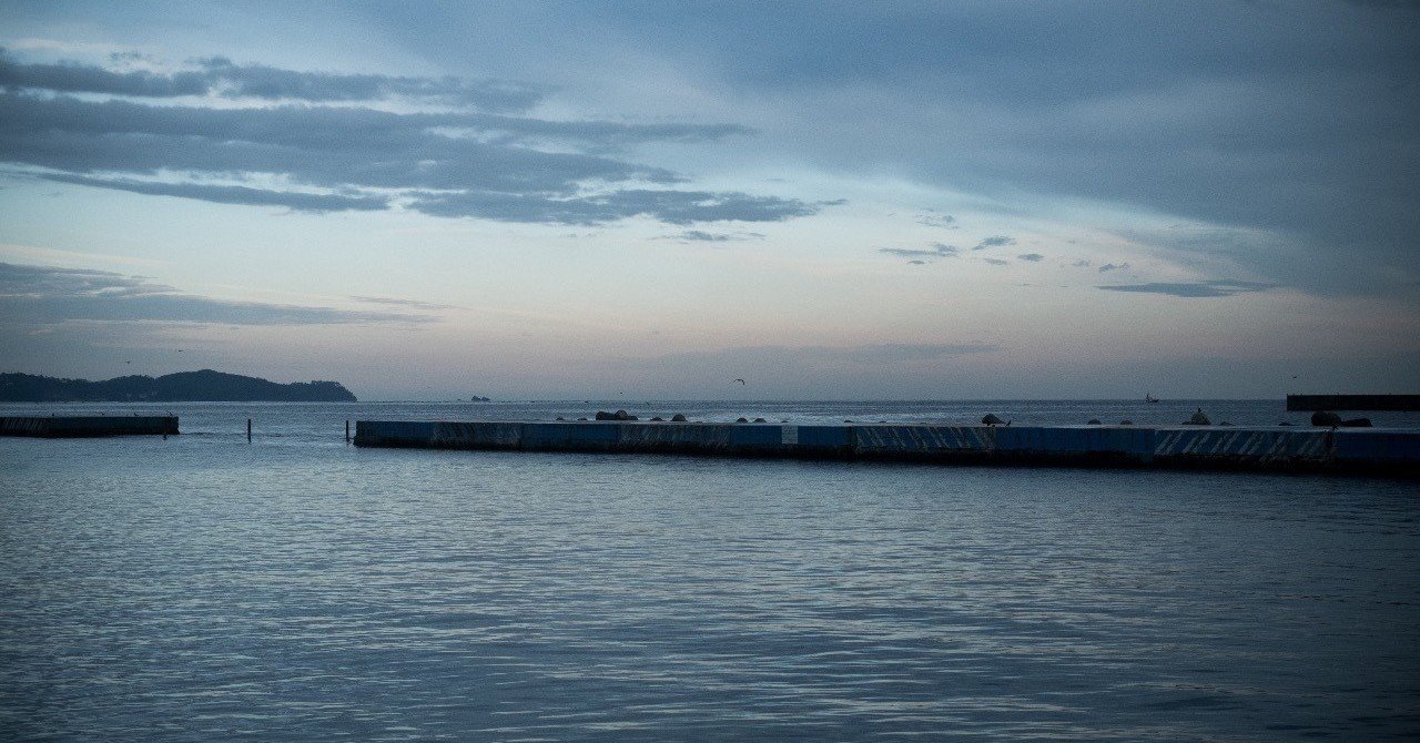 岸惠子(7)イヴ・シャンピの死