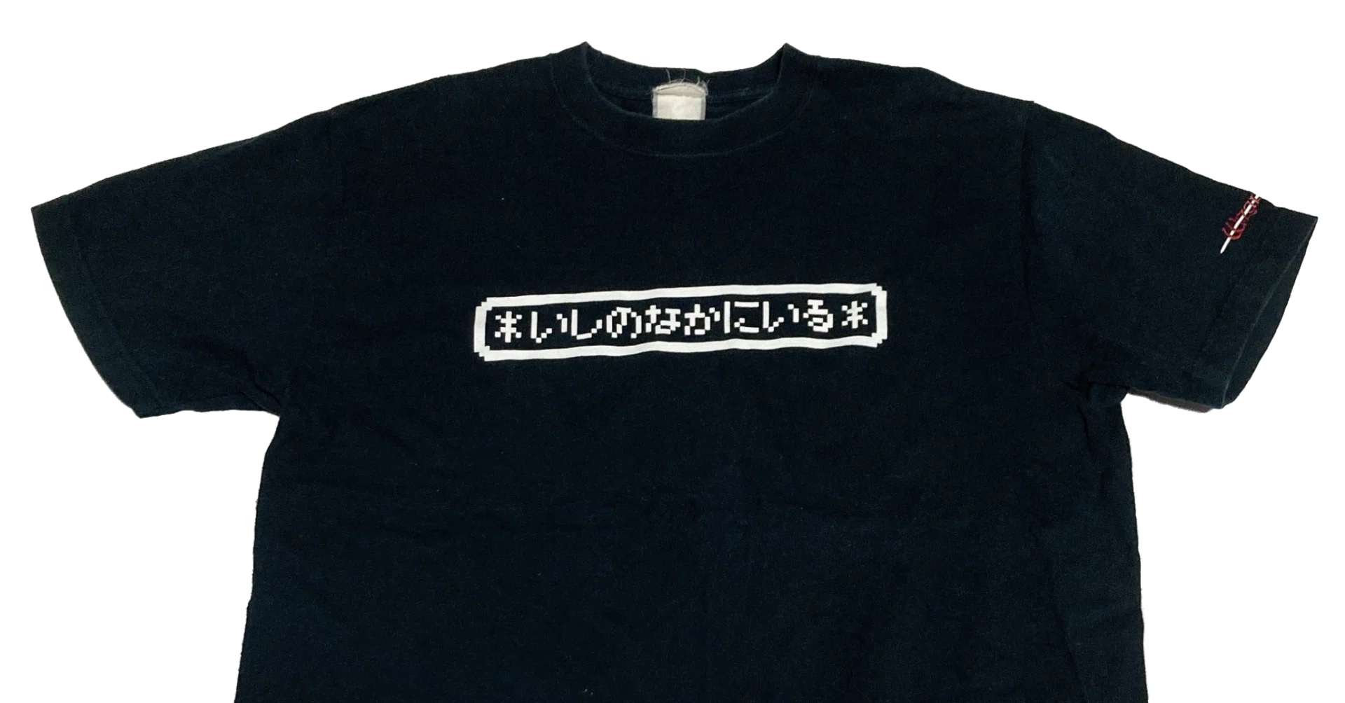いし の なか に いる