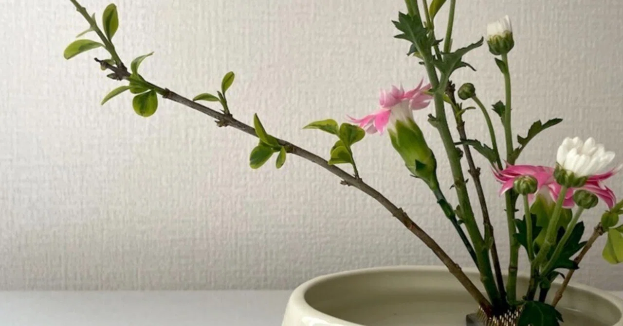 Hibika Lesson 03: Basic Grass Style (Hon-gatte)｜oga