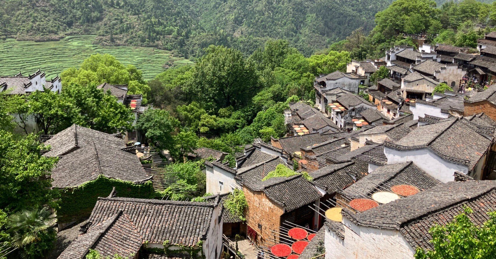 日本中世の民衆・都市・農村 中古日本中世の民衆・都市・農村 天日干し「晒秋」の村で中国の