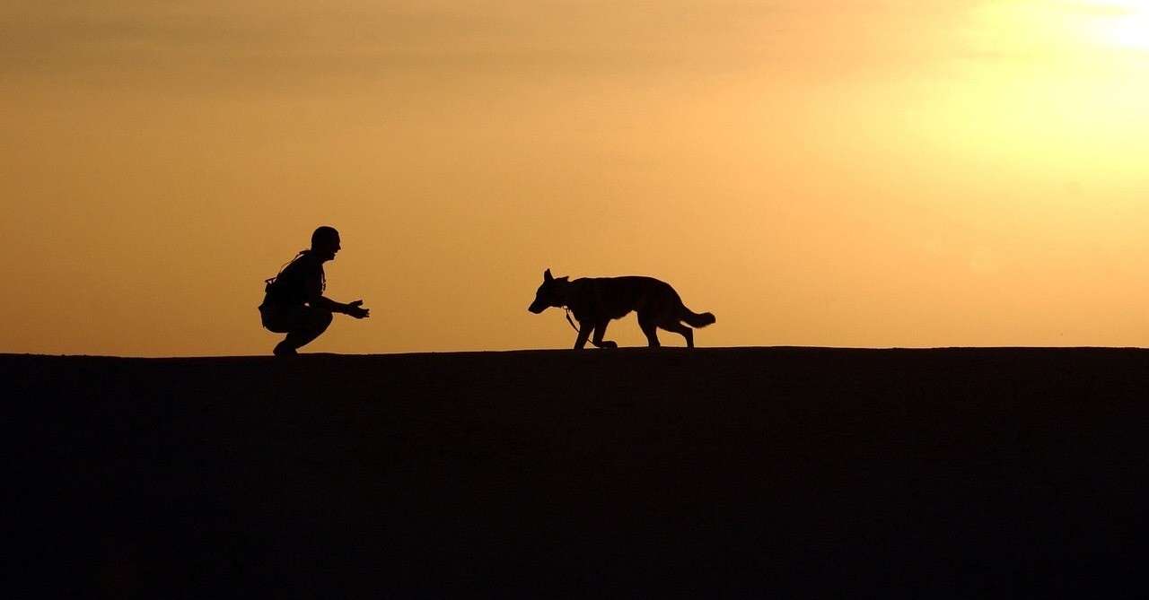 雑種の犬が一番かわいい Nu Note