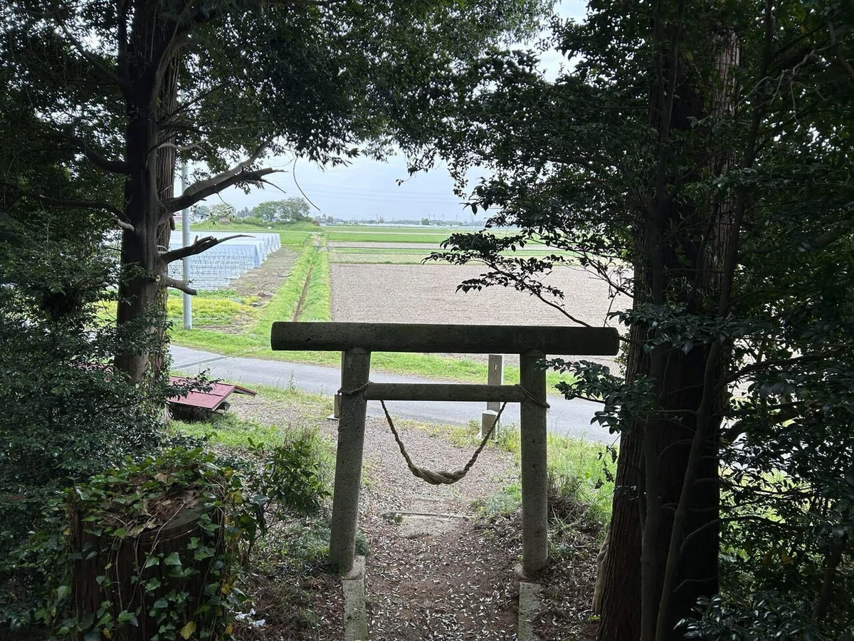 画像