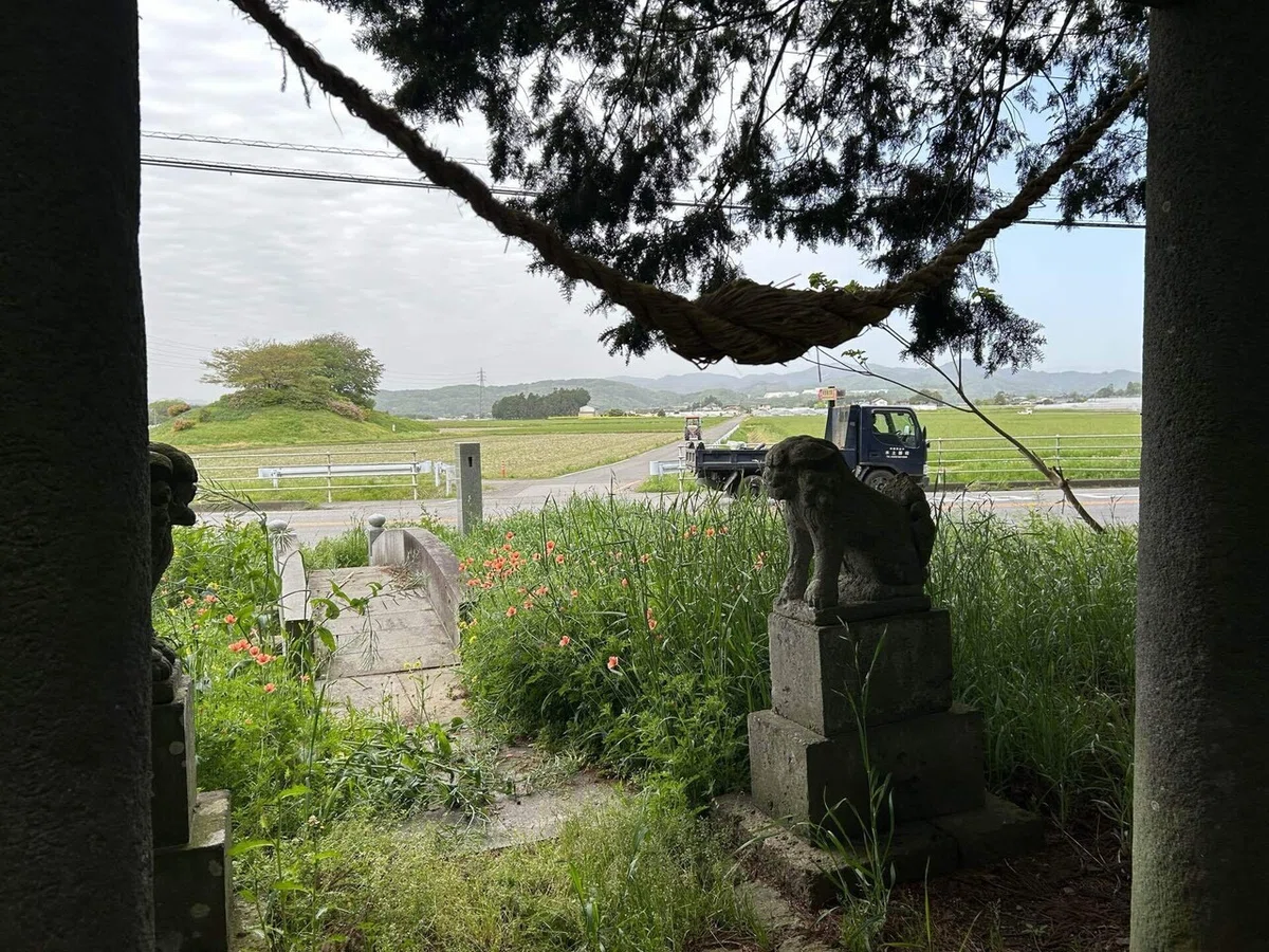 画像