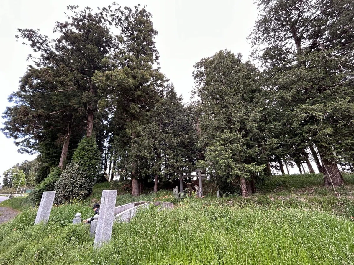 画像