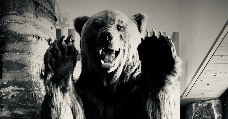 『熊とたたかう』