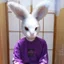 はっぱ