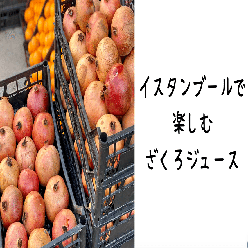 イスタンブールの柘榴｜山林