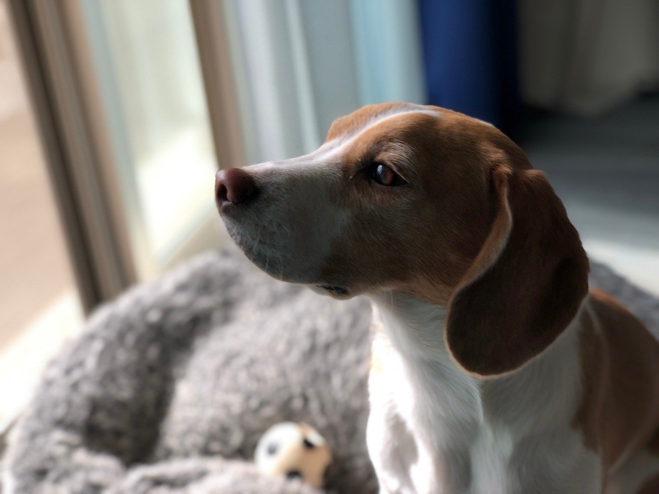 上方比較と下方比較 古賀史健 Note