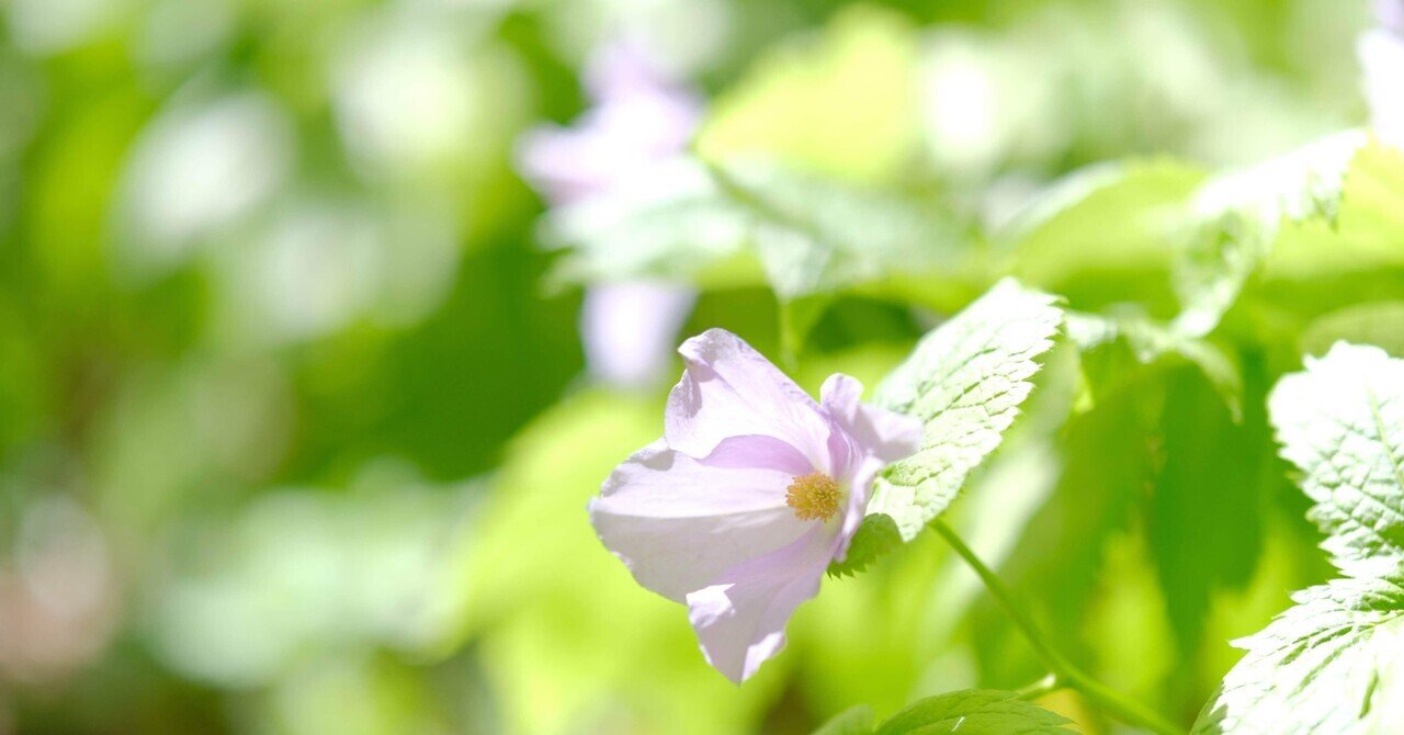 花も季節も移りゆく