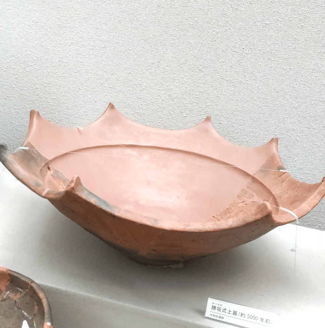 約5000年前の縄文土器、手前の方は欠けていますが、 口縁には