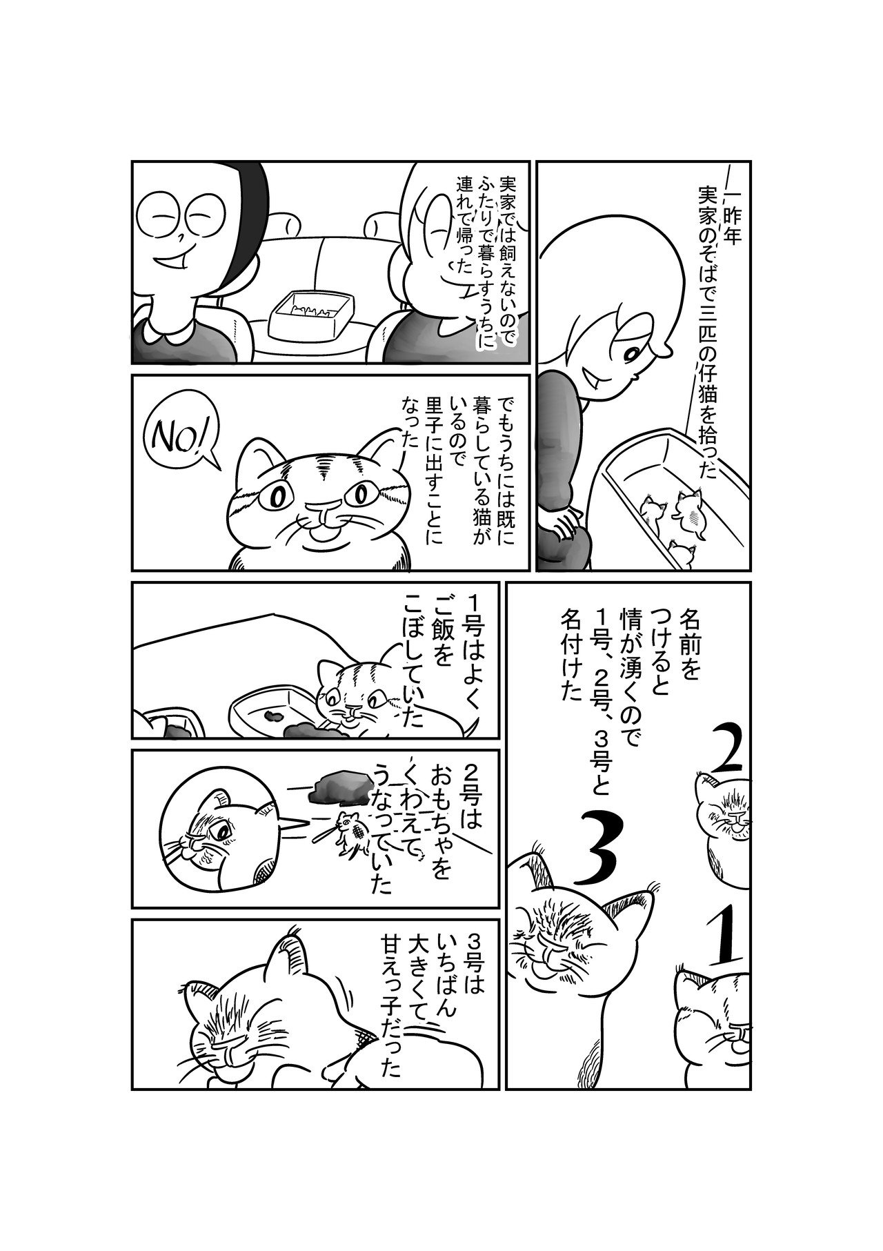 エッセイ ねこを譲る 電気こうたろう Note