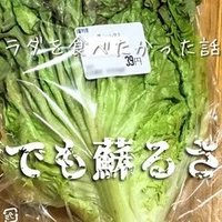 Ffxiv 僕らは久遠の絆を誓い合うことにした 2 白髭のネイサン Note