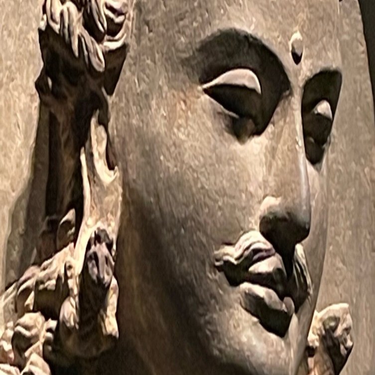 大陸の仏さまたち｜森山 智子