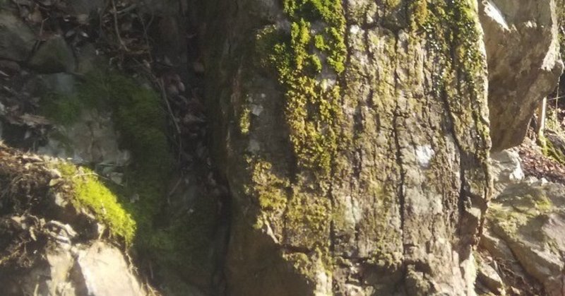 日本シームレス地質図 を見て津和野の地層は１億年以上遡ることを知りました 津和野ヤモリーズ Note