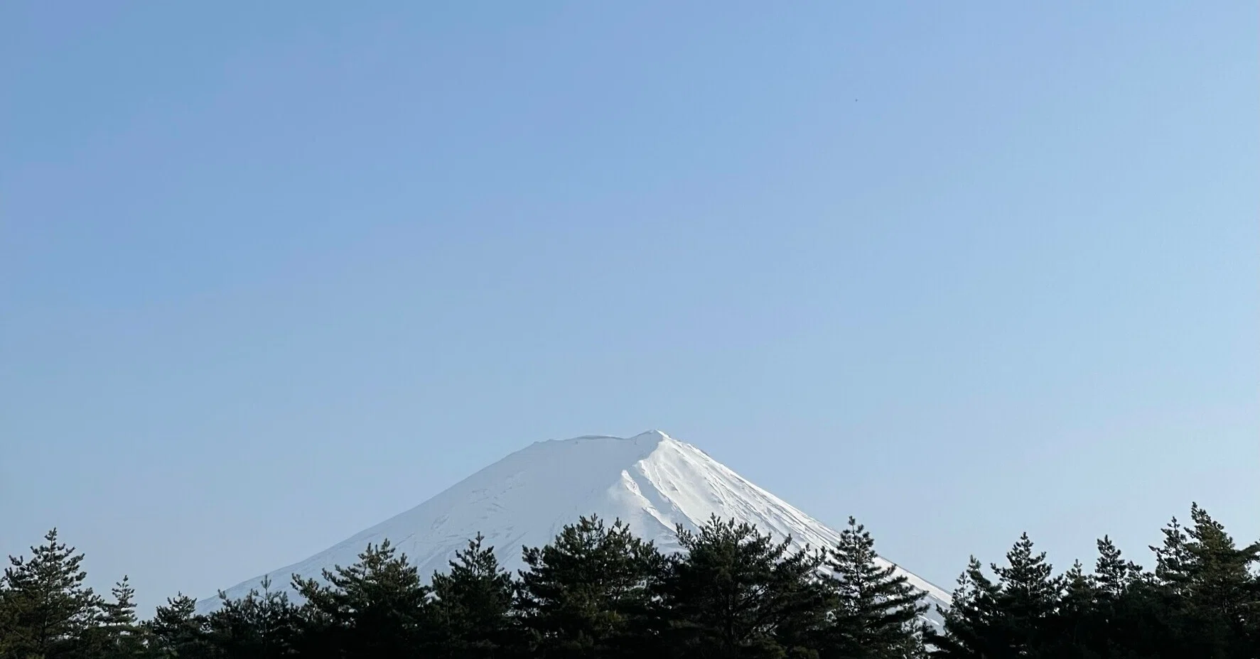ウルトラトレイルマウントフジ ULTRA-TRAIL Mt. FUJI（通称UTMF）参戦