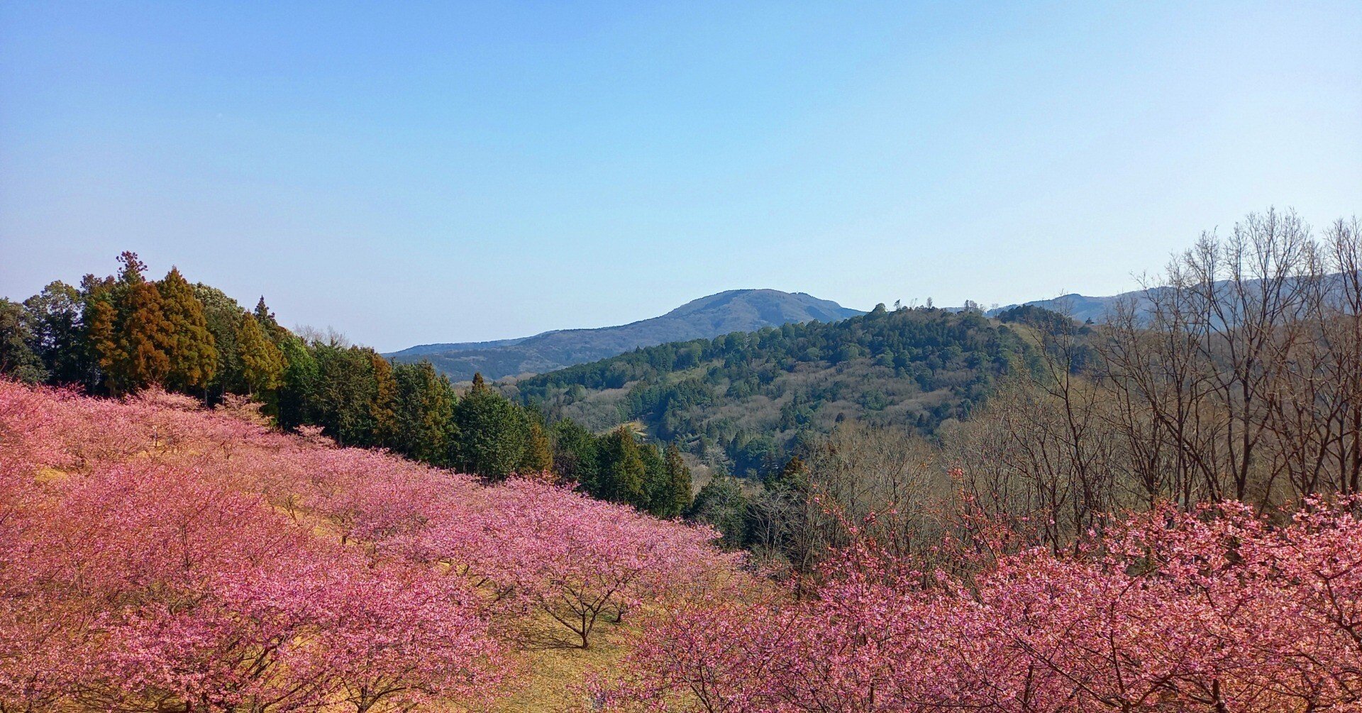 温故知新(10)狗奴国 名草彦命(海幸彦 長髄彦 兄磯城) 菟 温故知新(10)狗奴国 名草彦命(海幸彦 長髄彦 兄磯城) 菟
