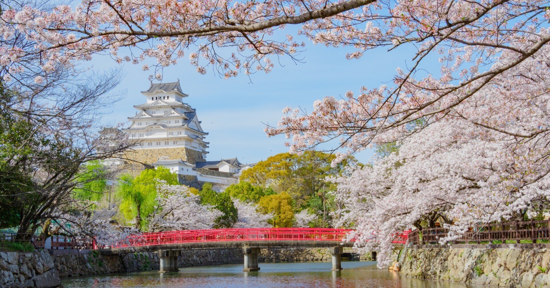 過去のお花見①｜KATSUMI