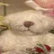 うさぎここち
