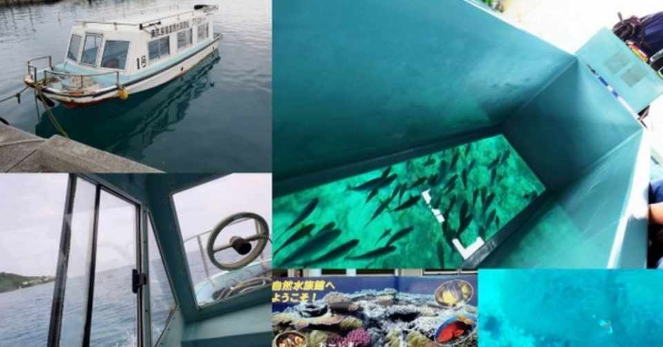 自然水族館 お じまグラスボート 南城市 沖縄口コミ Note