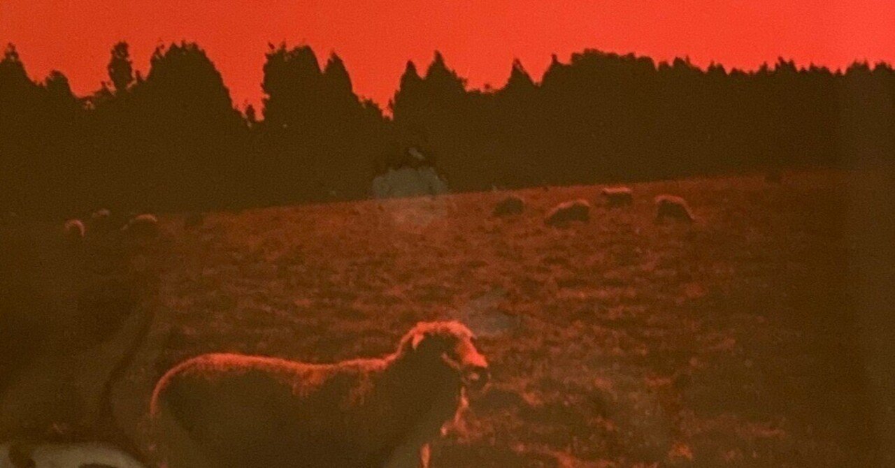 再考 syrup16g 『 HELL-SEE 』｜ミルフィーユとカフェグラッセ