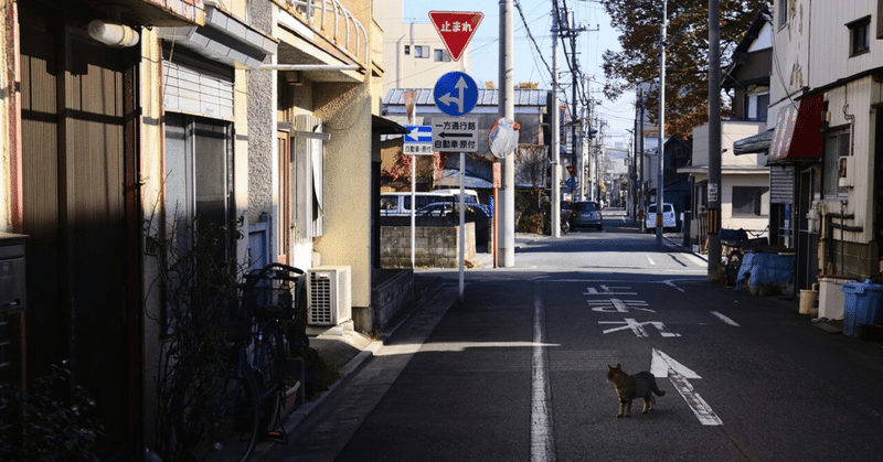 社会人3年目。「おかえりなさい」に思うこと。