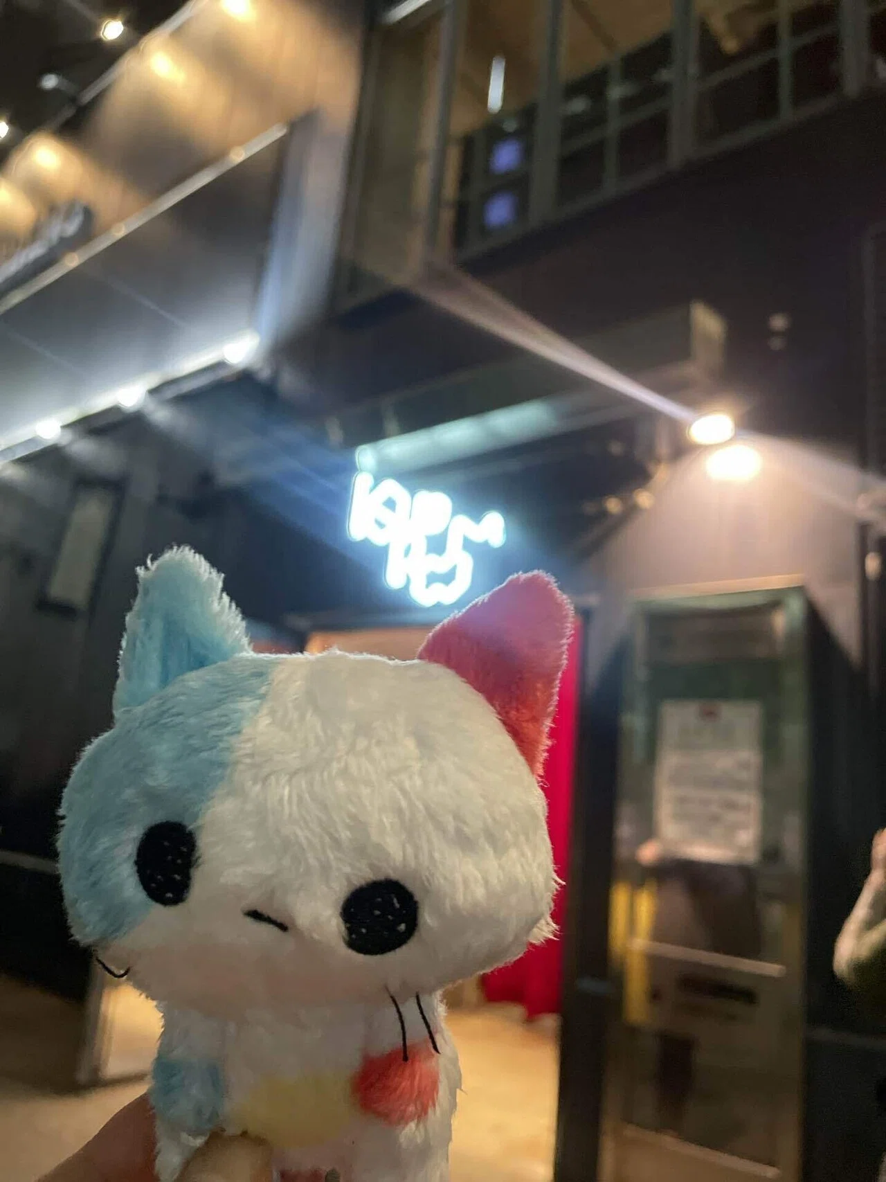 ファーマシー猫 2026年最新 ファーマシー猫 ヒトリエの人気アイテム