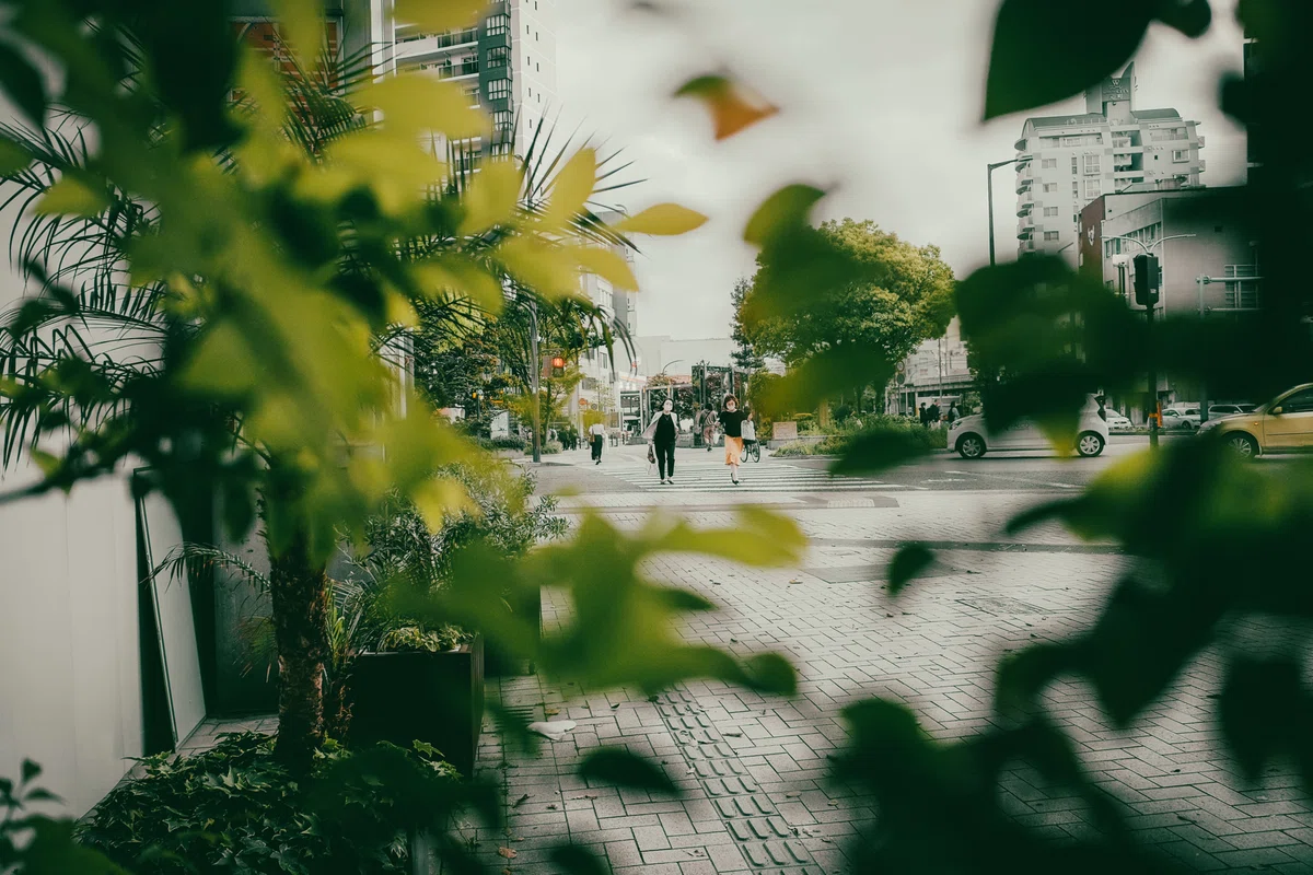 画像