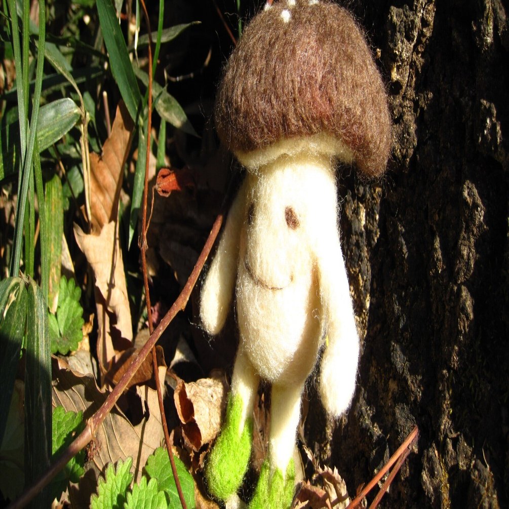 きのこの世界から飛び出して｜S o t t o