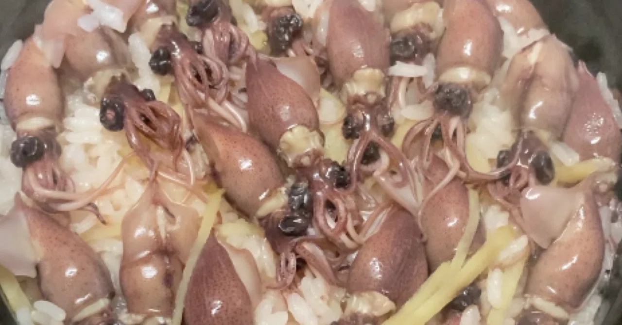 [Food] Series: Seasonal Rice #1 Firefly Squid｜三遊亭 司