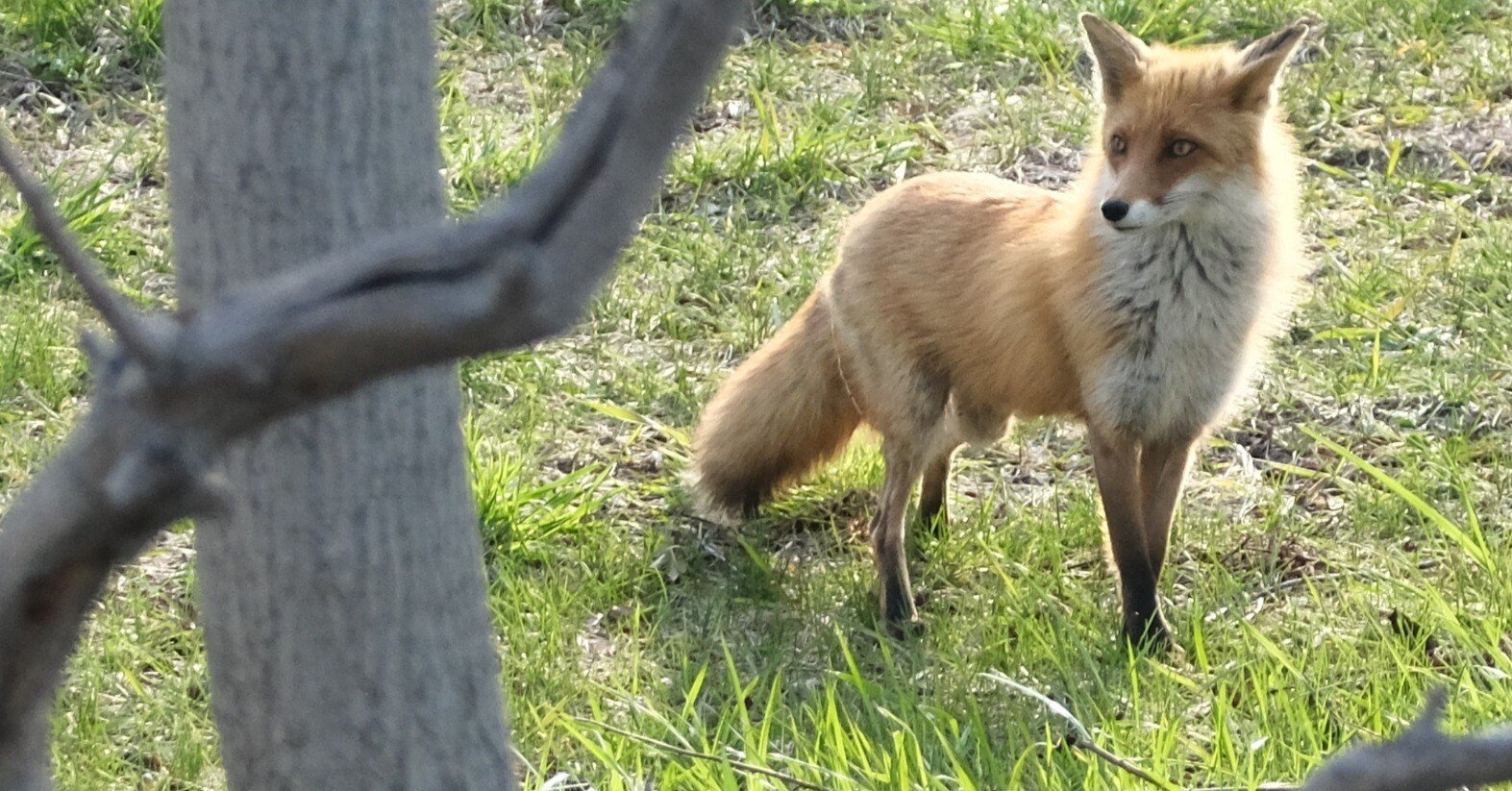 798bf4fec8e1031e58df51048d317b