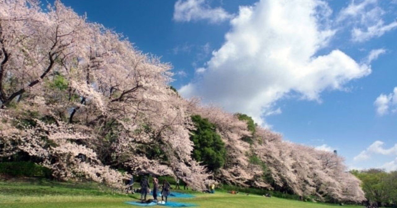 3 31銭湯ランイベント告知 砧公園でお花見銭湯ランニング Tokyo Sampomaster Note