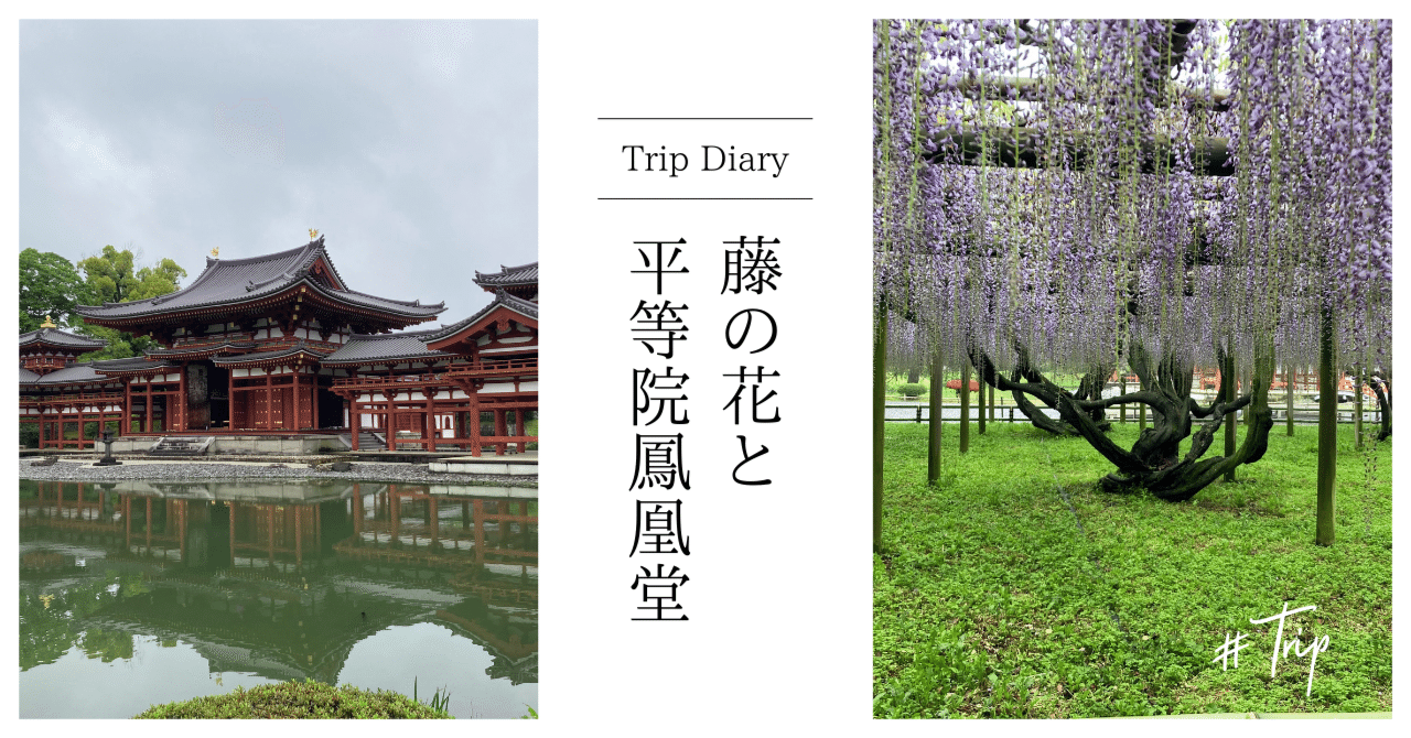 焼失を免れた平等院鳳凰堂の中は千年前の空間でした｜フィックスホーム