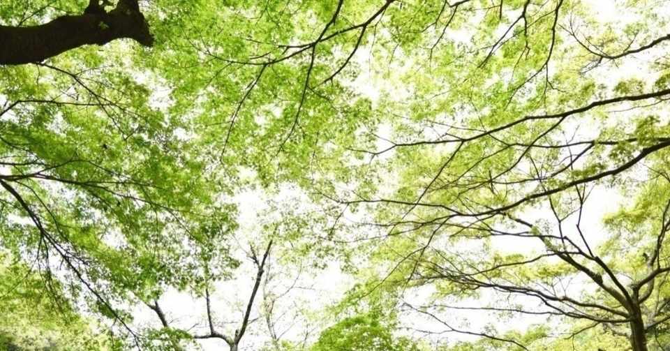 なぜ作ったゲームが面白くならないのか 基礎にして奥義 フロー理論 かえるd Note