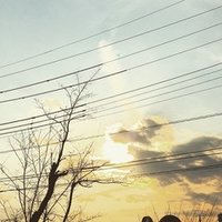 29歳変動説 ニンパイ シノブ Note