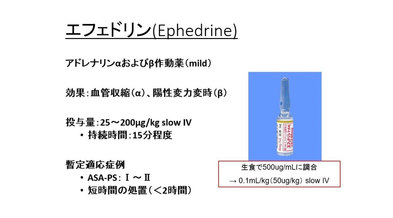 0023 エフェドリン使ってみない 獣医麻酔 集中治療学 Note