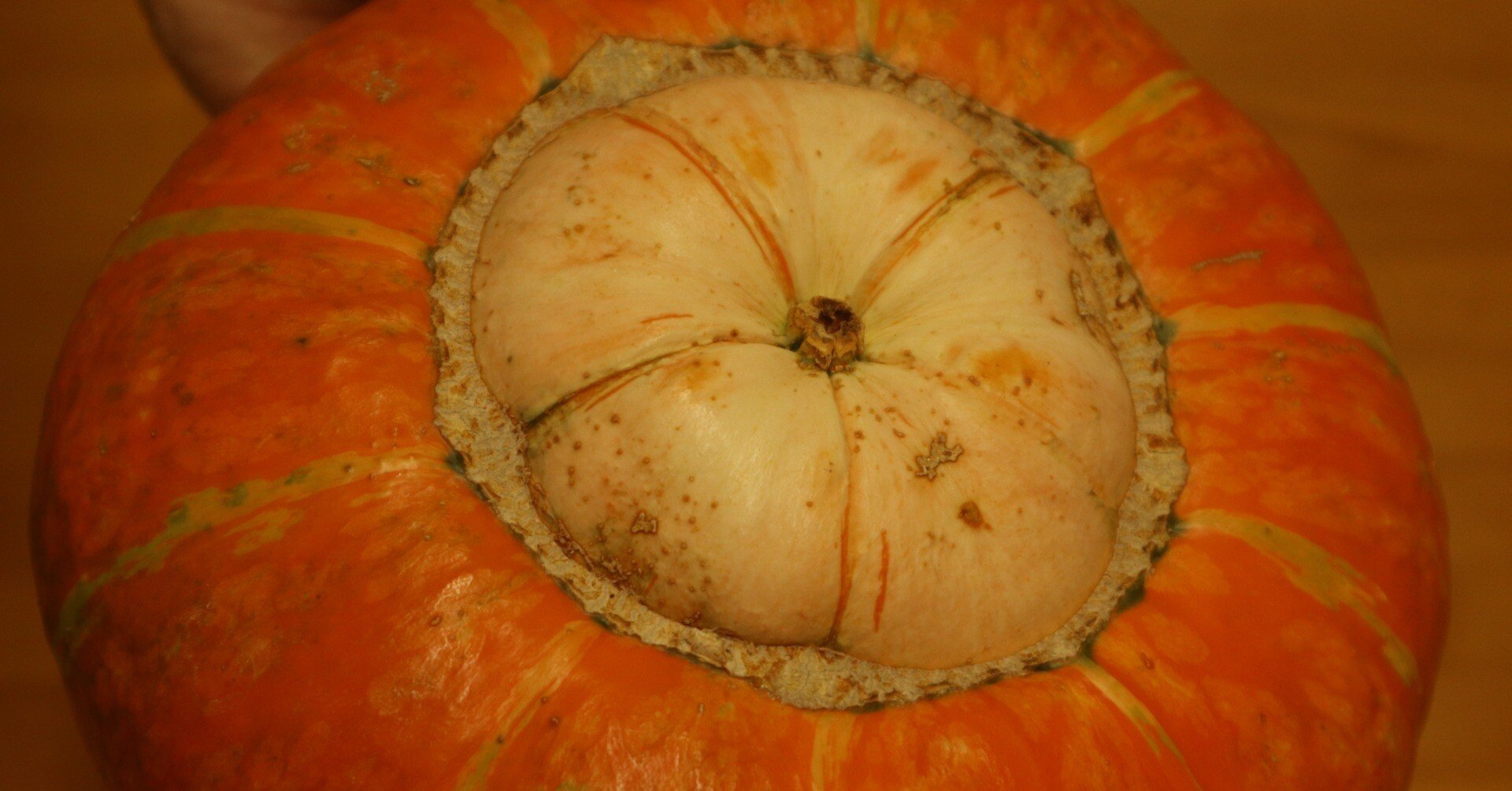 c6b87162a436c908a7948cac0510ec