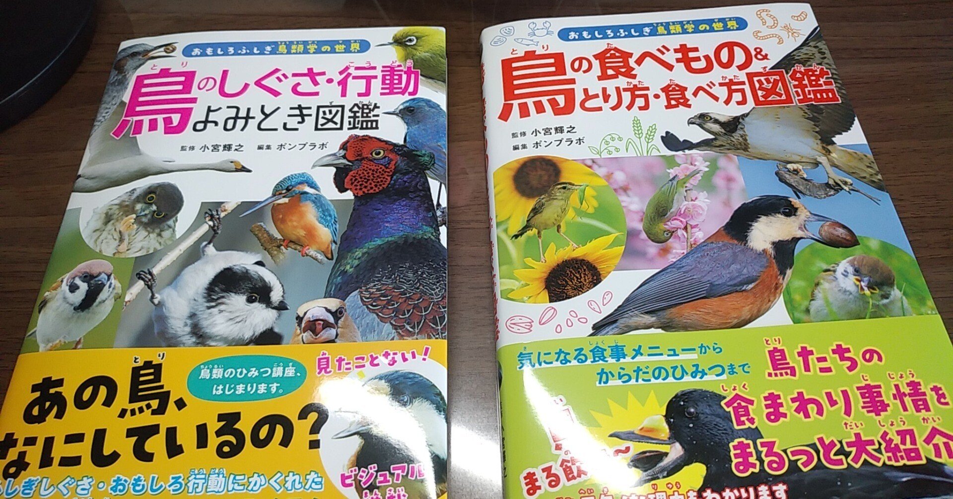 子ども向けに、楽しくて面白い鳥類学の本があったなら。｜ちる@鳥見の時間