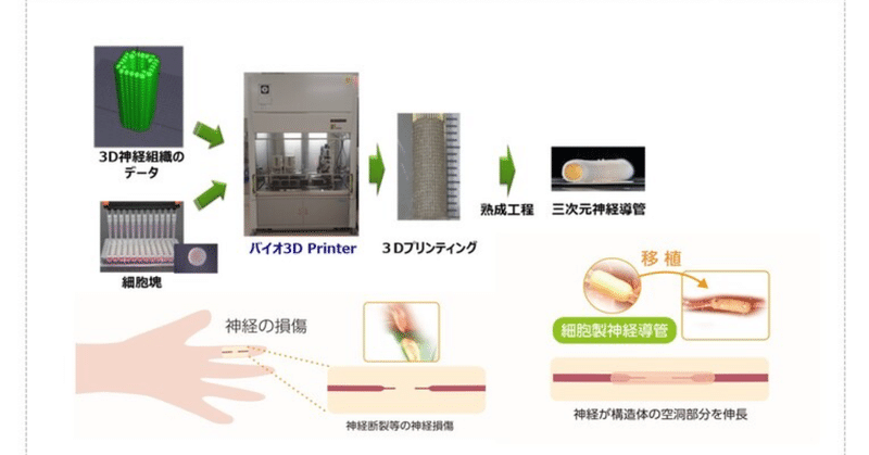 神経を3Dプリンターでつなぐ