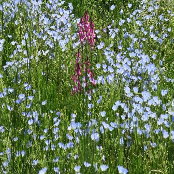 久保田寛子さんによる屹立する人物像の考察〜松本竣介および佐伯祐三の